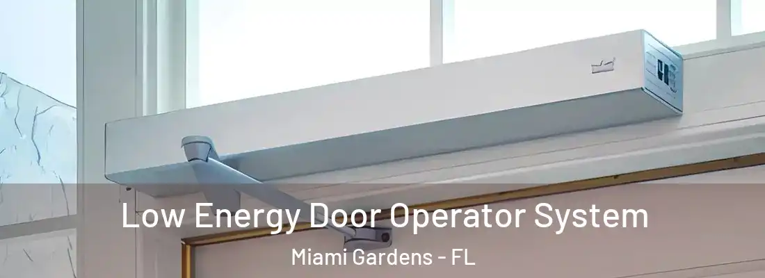 Low Energy Door Operator System Miami Gardens - FL